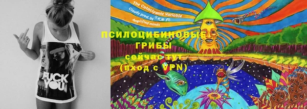 дмт Балабаново